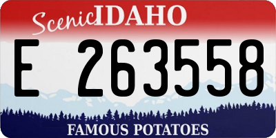 ID license plate E263558