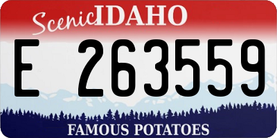 ID license plate E263559