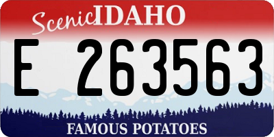 ID license plate E263563