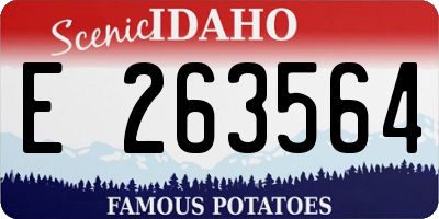 ID license plate E263564