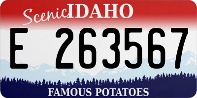 ID license plate E263567