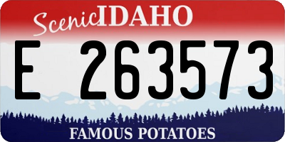 ID license plate E263573