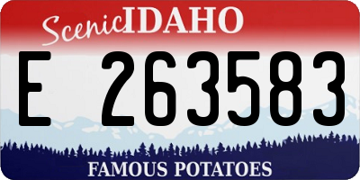 ID license plate E263583