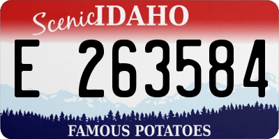 ID license plate E263584