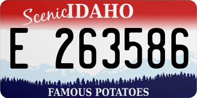 ID license plate E263586