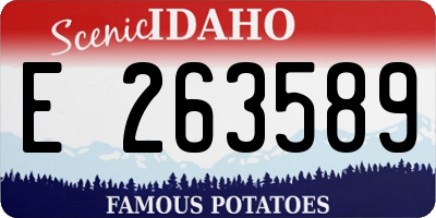 ID license plate E263589