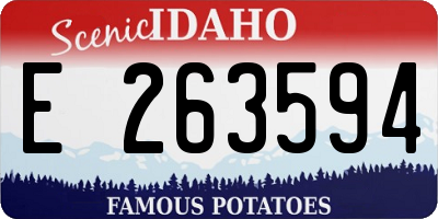 ID license plate E263594