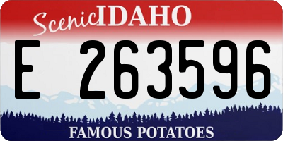 ID license plate E263596