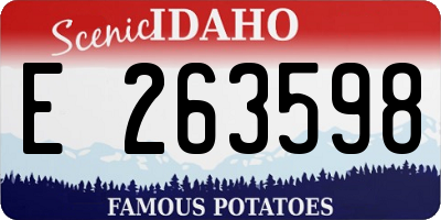 ID license plate E263598