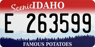 ID license plate E263599