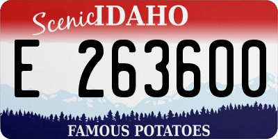 ID license plate E263600