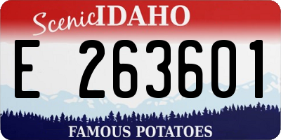 ID license plate E263601