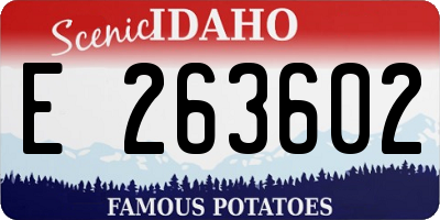 ID license plate E263602