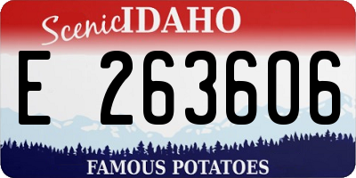 ID license plate E263606
