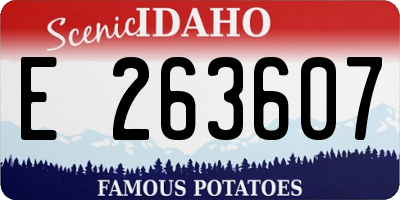 ID license plate E263607