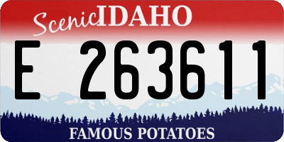 ID license plate E263611