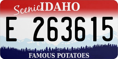 ID license plate E263615