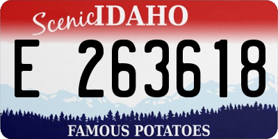 ID license plate E263618