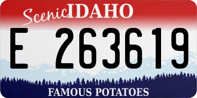 ID license plate E263619