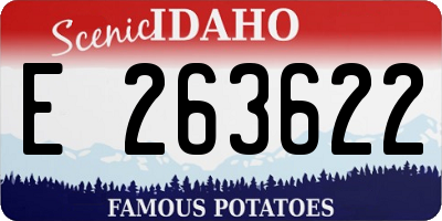ID license plate E263622