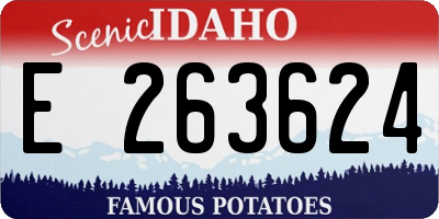 ID license plate E263624