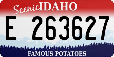 ID license plate E263627