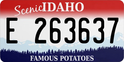 ID license plate E263637