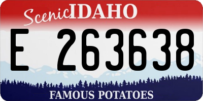 ID license plate E263638