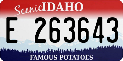 ID license plate E263643
