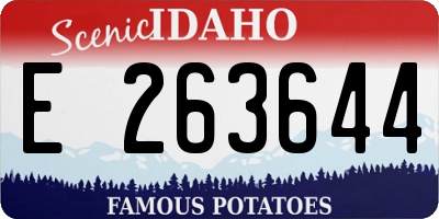 ID license plate E263644