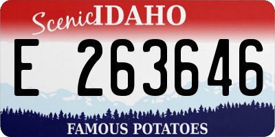 ID license plate E263646