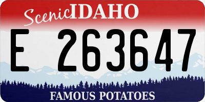 ID license plate E263647