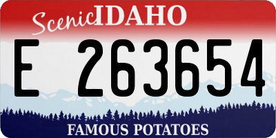 ID license plate E263654