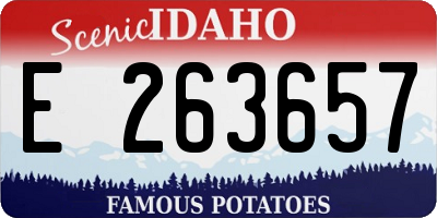 ID license plate E263657