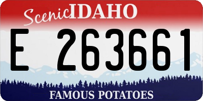 ID license plate E263661