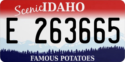 ID license plate E263665