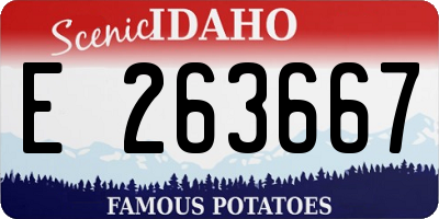 ID license plate E263667