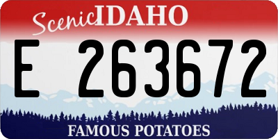 ID license plate E263672