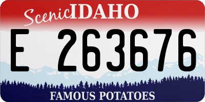 ID license plate E263676