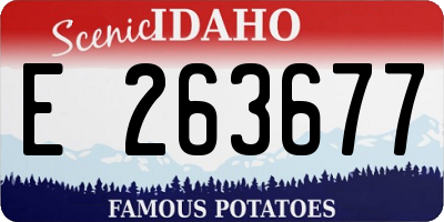 ID license plate E263677