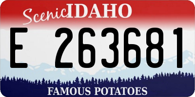 ID license plate E263681