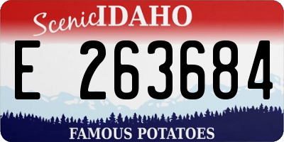 ID license plate E263684