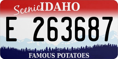 ID license plate E263687