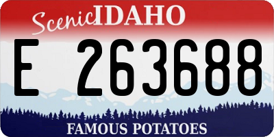 ID license plate E263688
