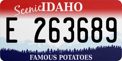 ID license plate E263689