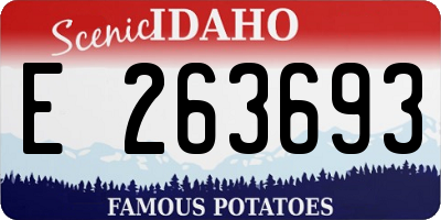 ID license plate E263693