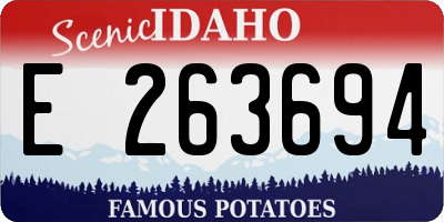 ID license plate E263694