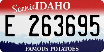 ID license plate E263695