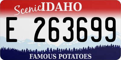 ID license plate E263699
