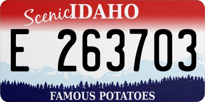 ID license plate E263703